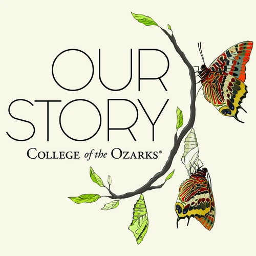 Picture of butterflies 